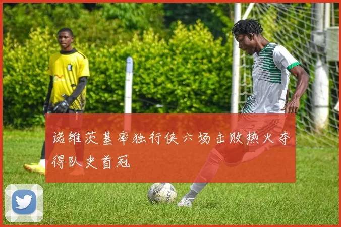 诺维茨基率独行侠六场击败热火夺得队史首冠