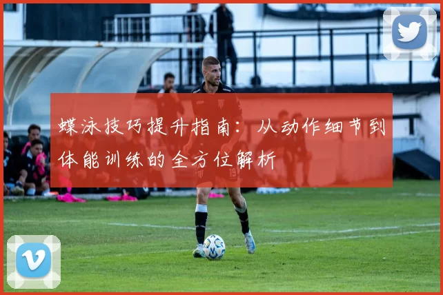 蝶泳技巧提升指南：从动作细节到体能训练的全方位解析