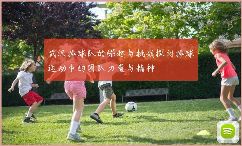 武汉排球队的崛起与挑战探讨排球运动中的团队力量与精神