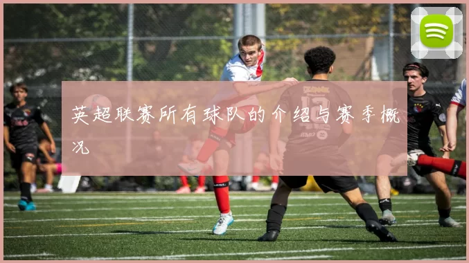 英超联赛所有球队的介绍与赛季概况