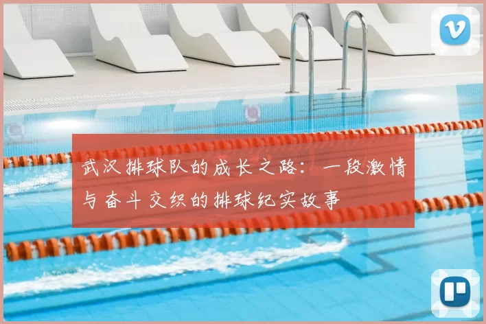 武汉排球队的成长之路：一段激情与奋斗交织的排球纪实故事