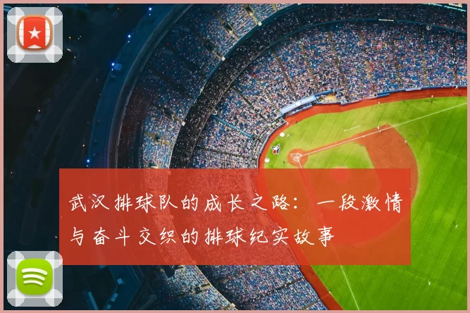 武汉排球队的成长之路：一段激情与奋斗交织的排球纪实故事