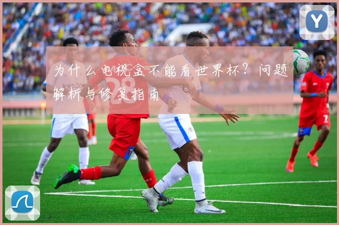 为什么电视盒不能看世界杯？问题解析与修复指南