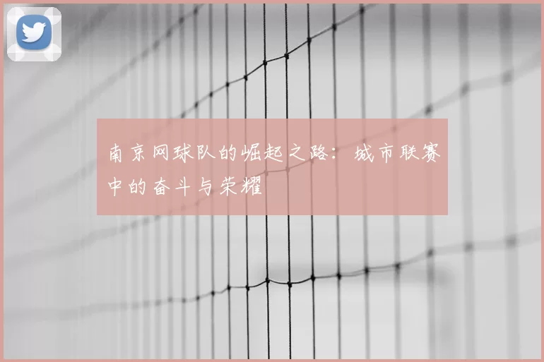 南京网球队的崛起之路：城市联赛中的奋斗与荣耀