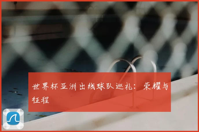 世界杯亚洲出线球队巡礼：荣耀与征程